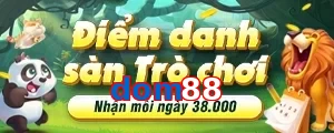 dom88
